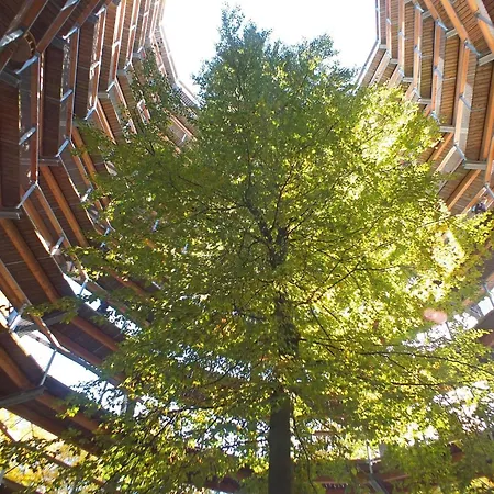 Stilvolles Haus Im Ruegen Ferienhaus *